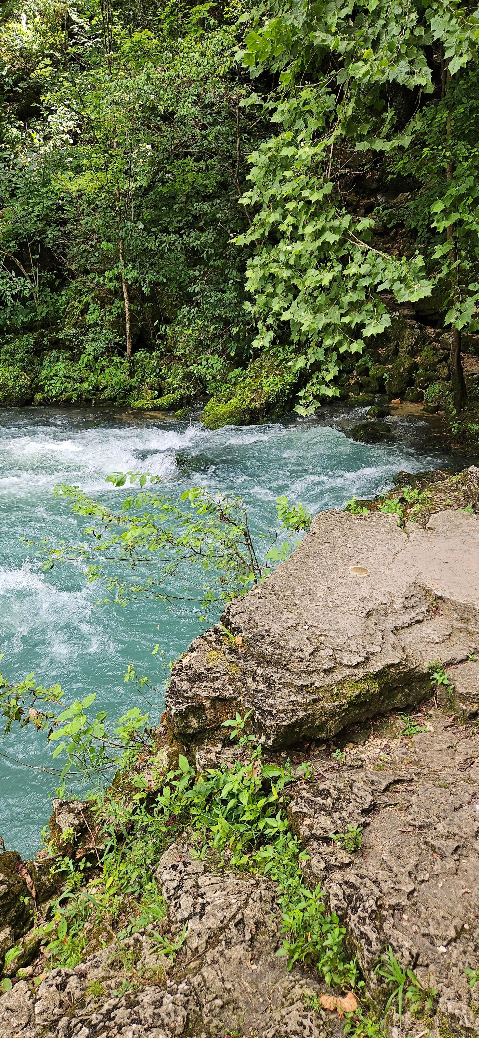 Big Springs
