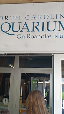 North Carolina Aquarium on Roanoke Island was amazing