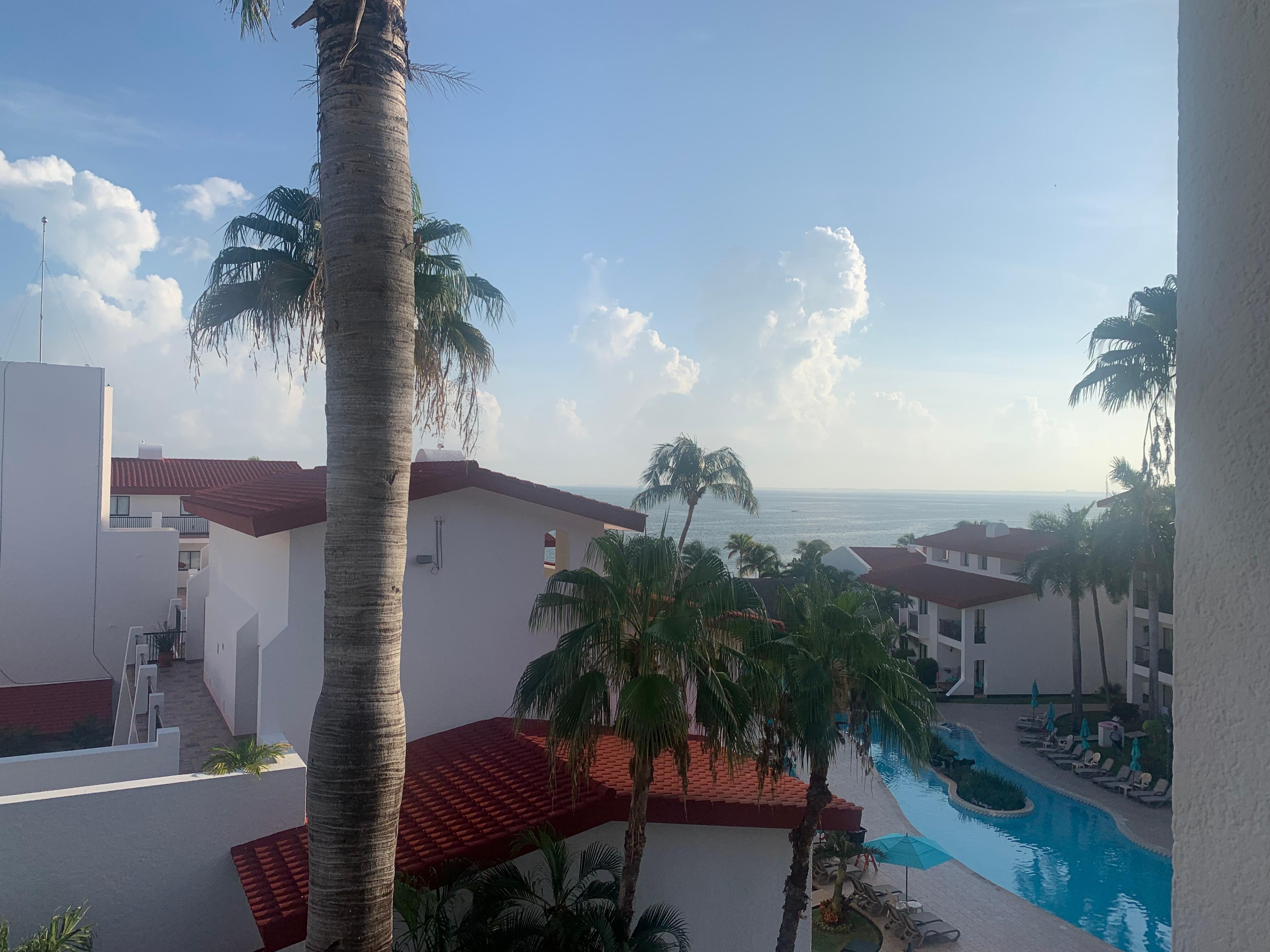 My room view