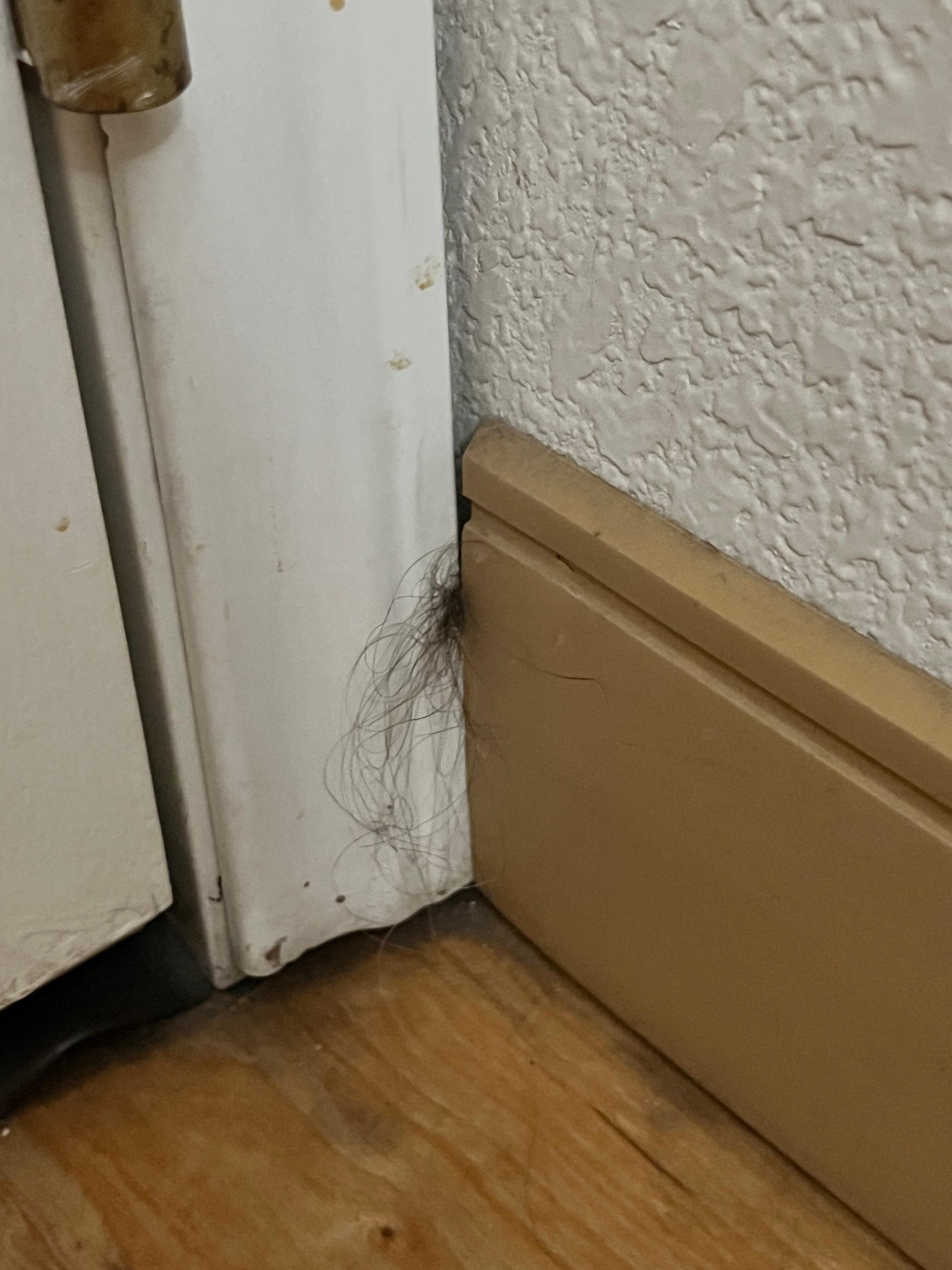 Human scalp stuck in the corner