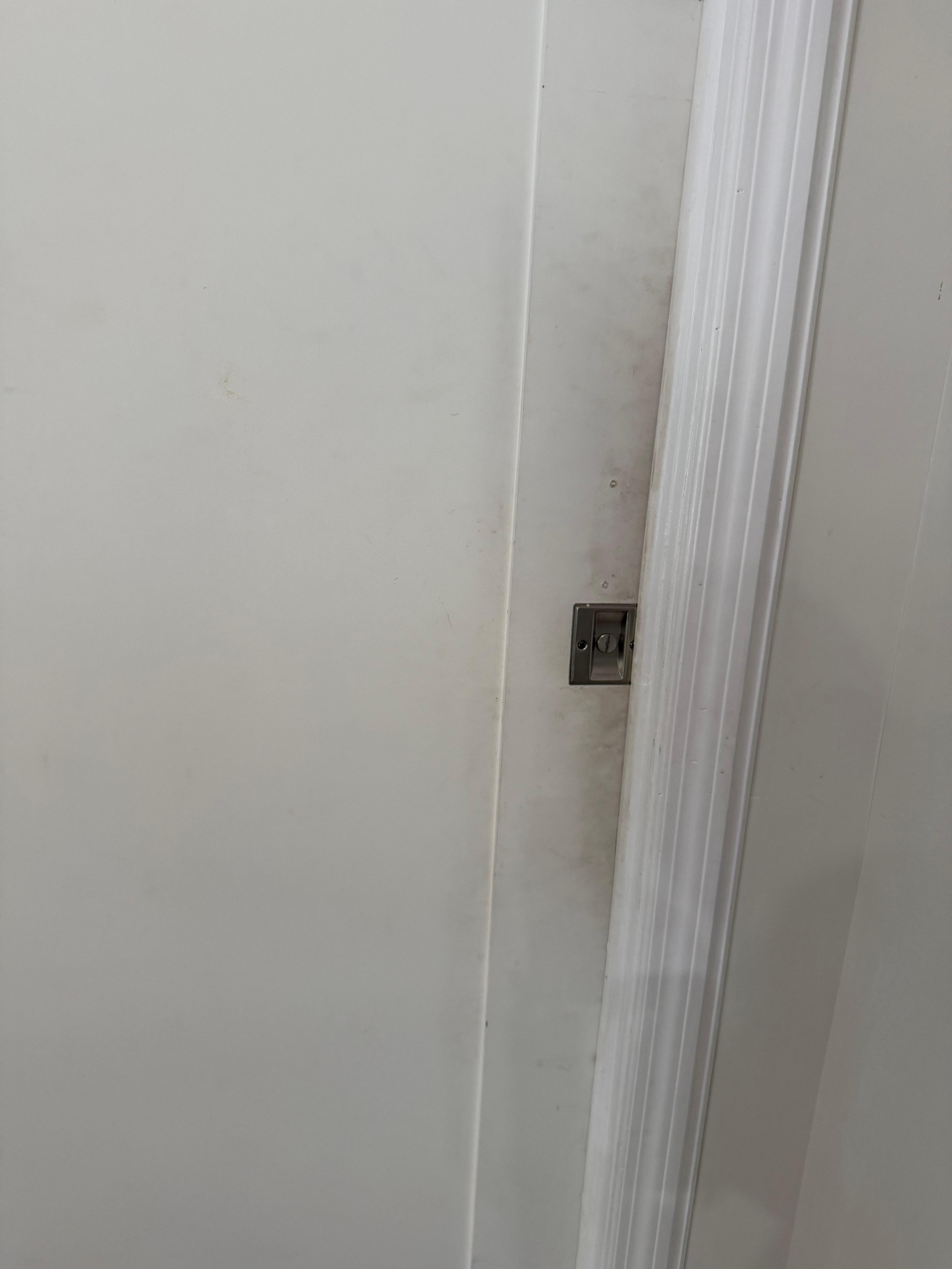 Bathroom door/handle