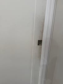 Bathroom door/handle