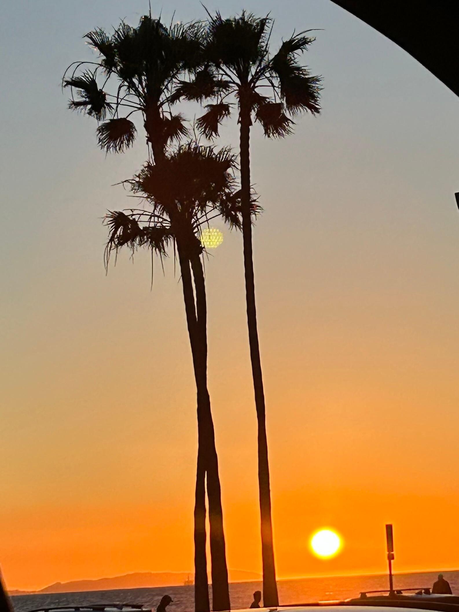 Newport Beach sunset 😍