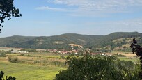 The view