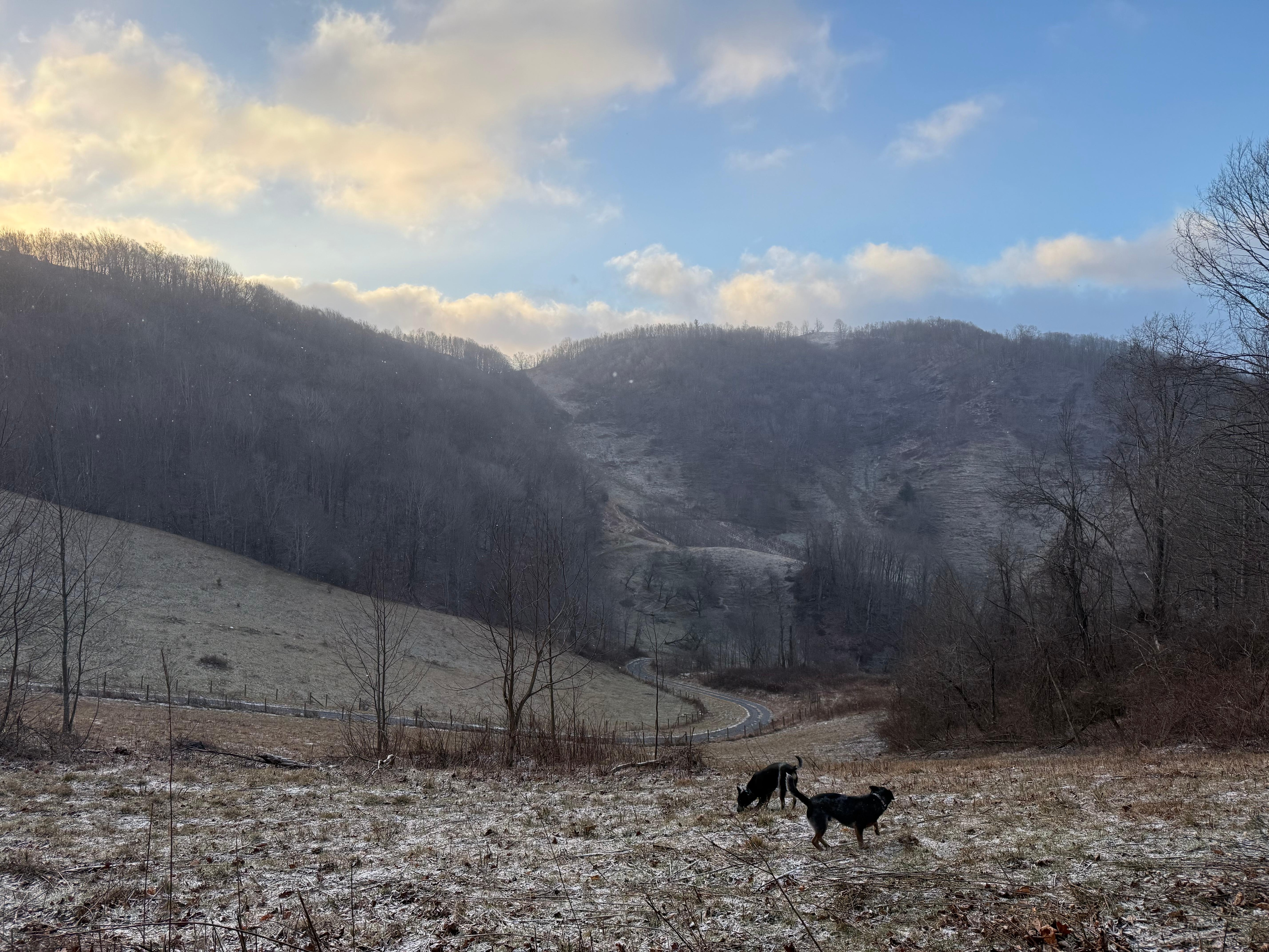Some of the views from the driveway! 