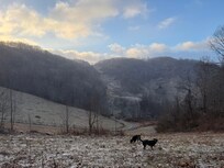 Some of the views from the driveway!