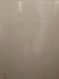 Bathtub was just horrible