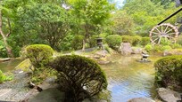簷廊外的日式庭園
