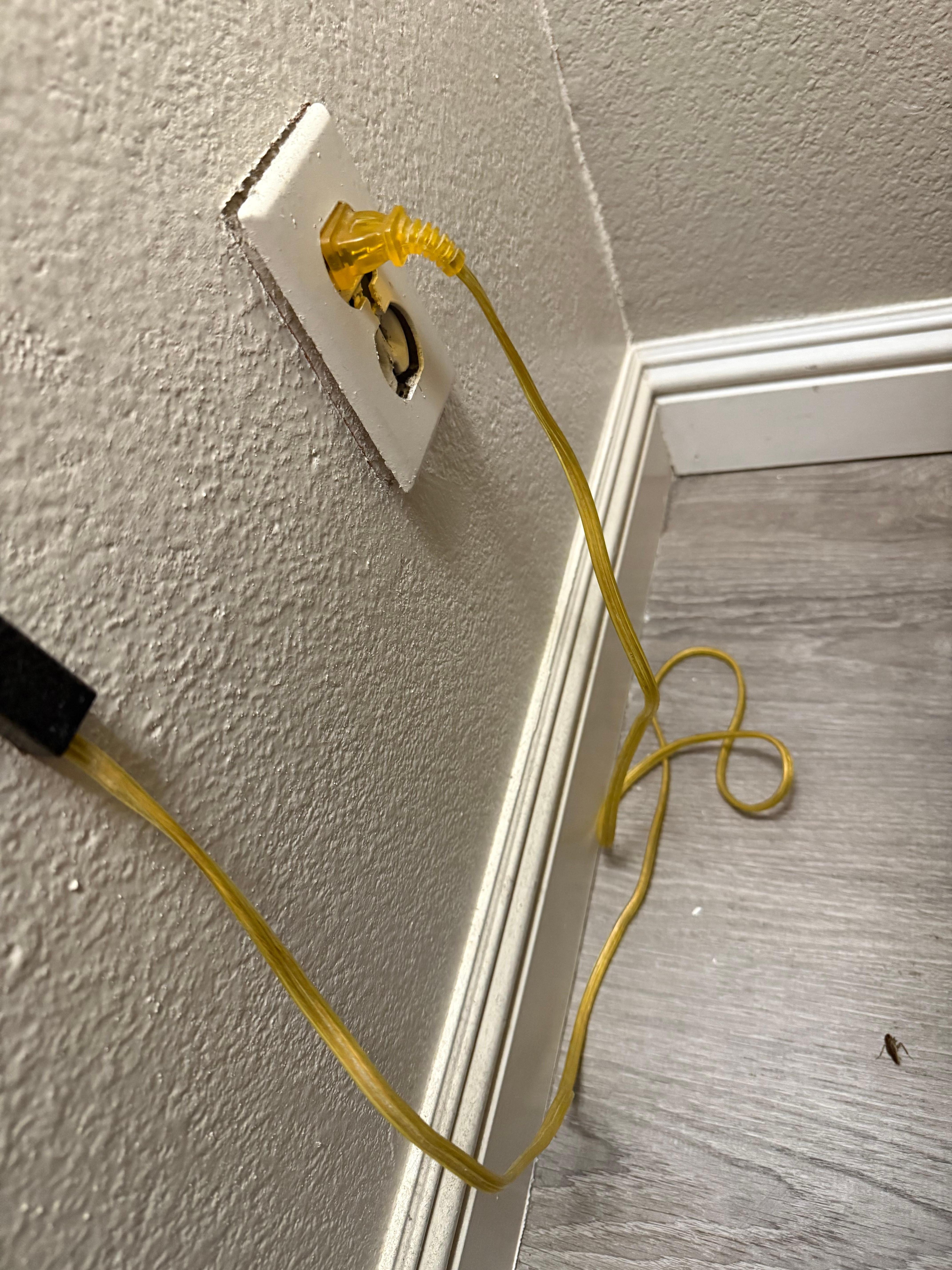 Broken outlet and roaches
