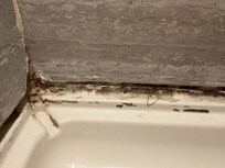 Moldy/hairy shower