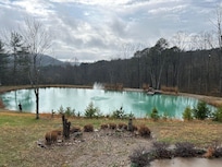 Private pond where you can fish or swim!