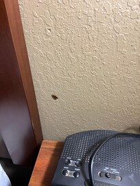 Roaches in room