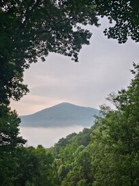 Morning view from the porch