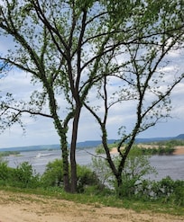 From the front steps