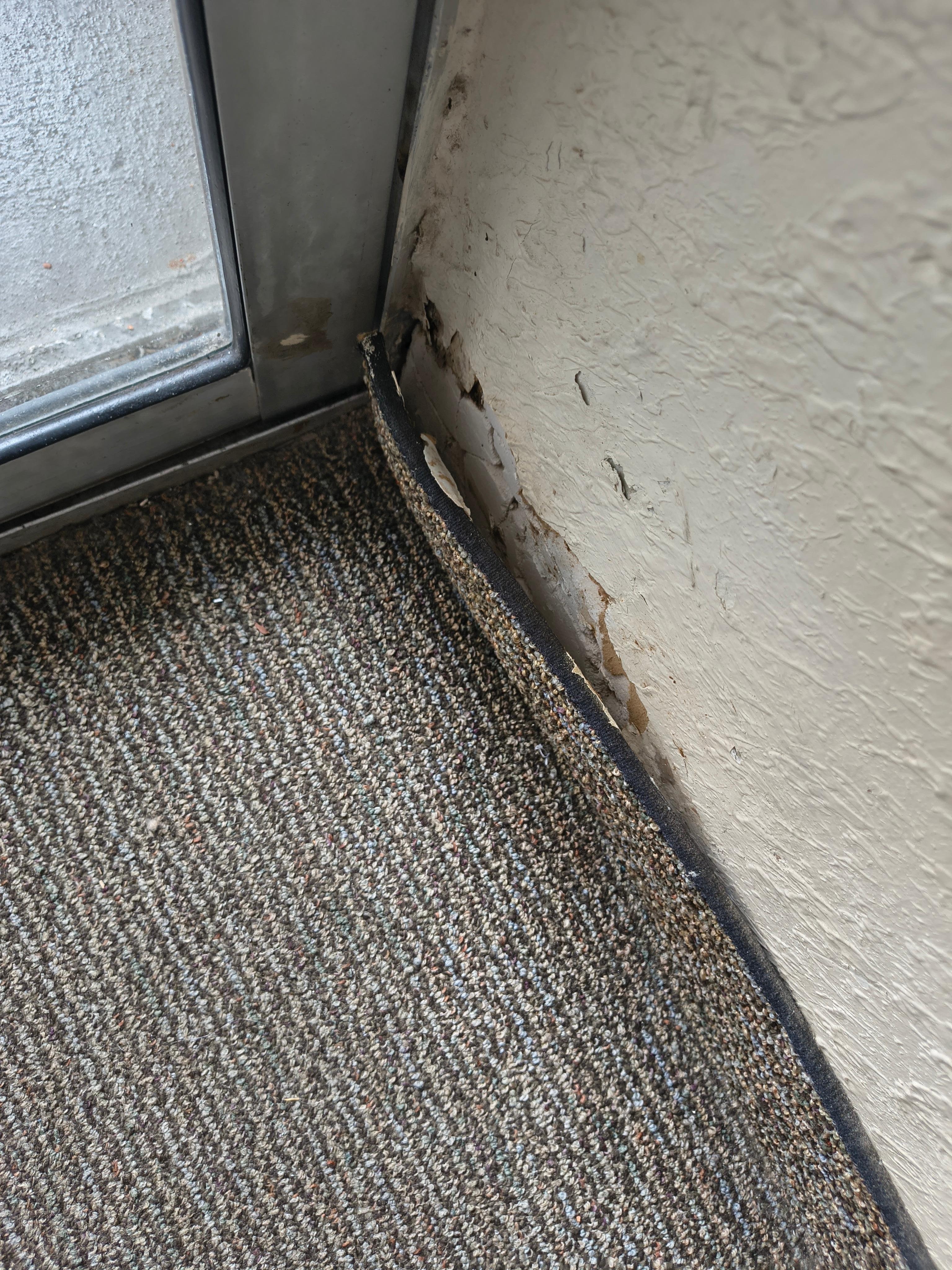 Carpet peeling off the wall