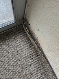 Carpet peeling off the wall