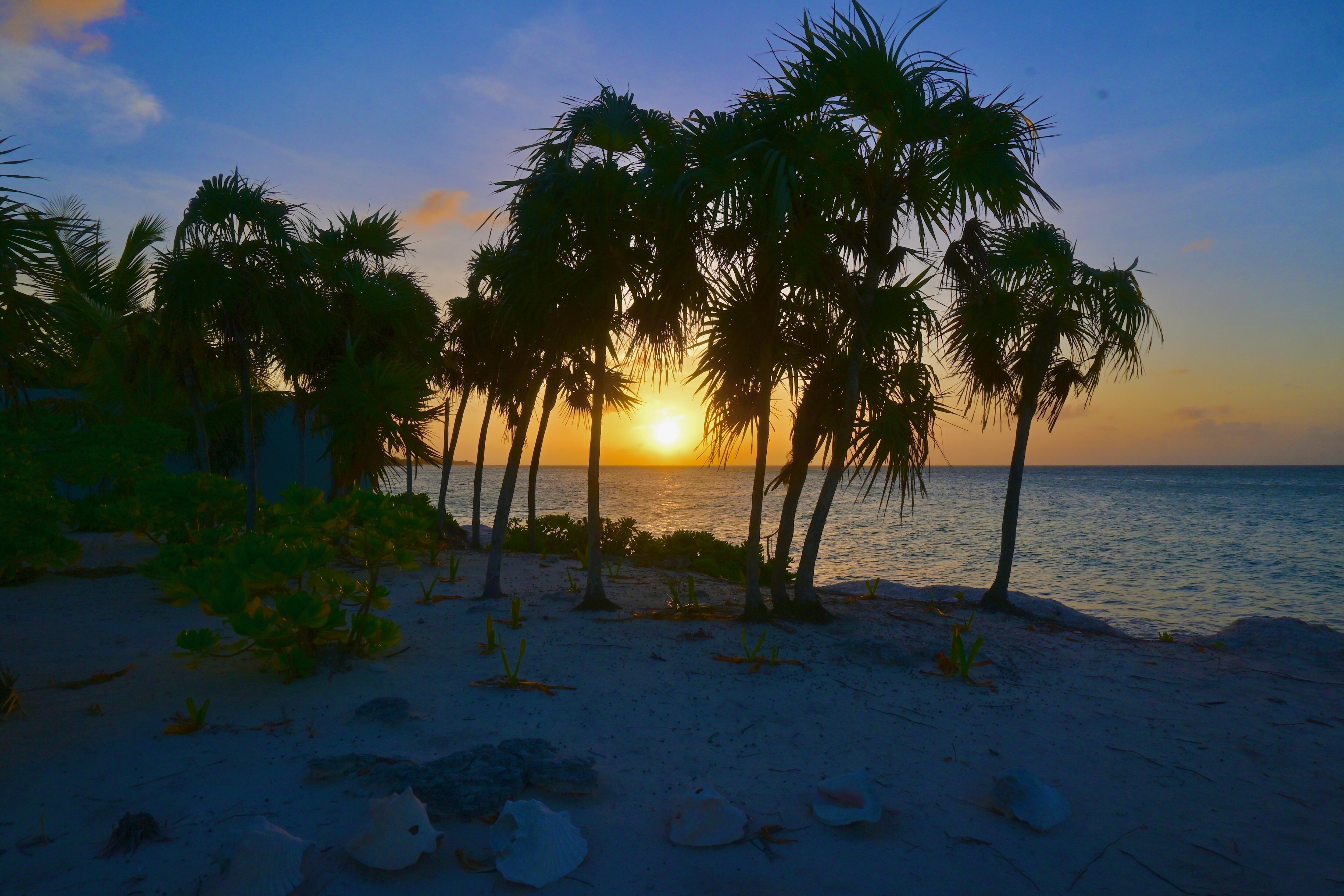 Our sunset every night from the house. 