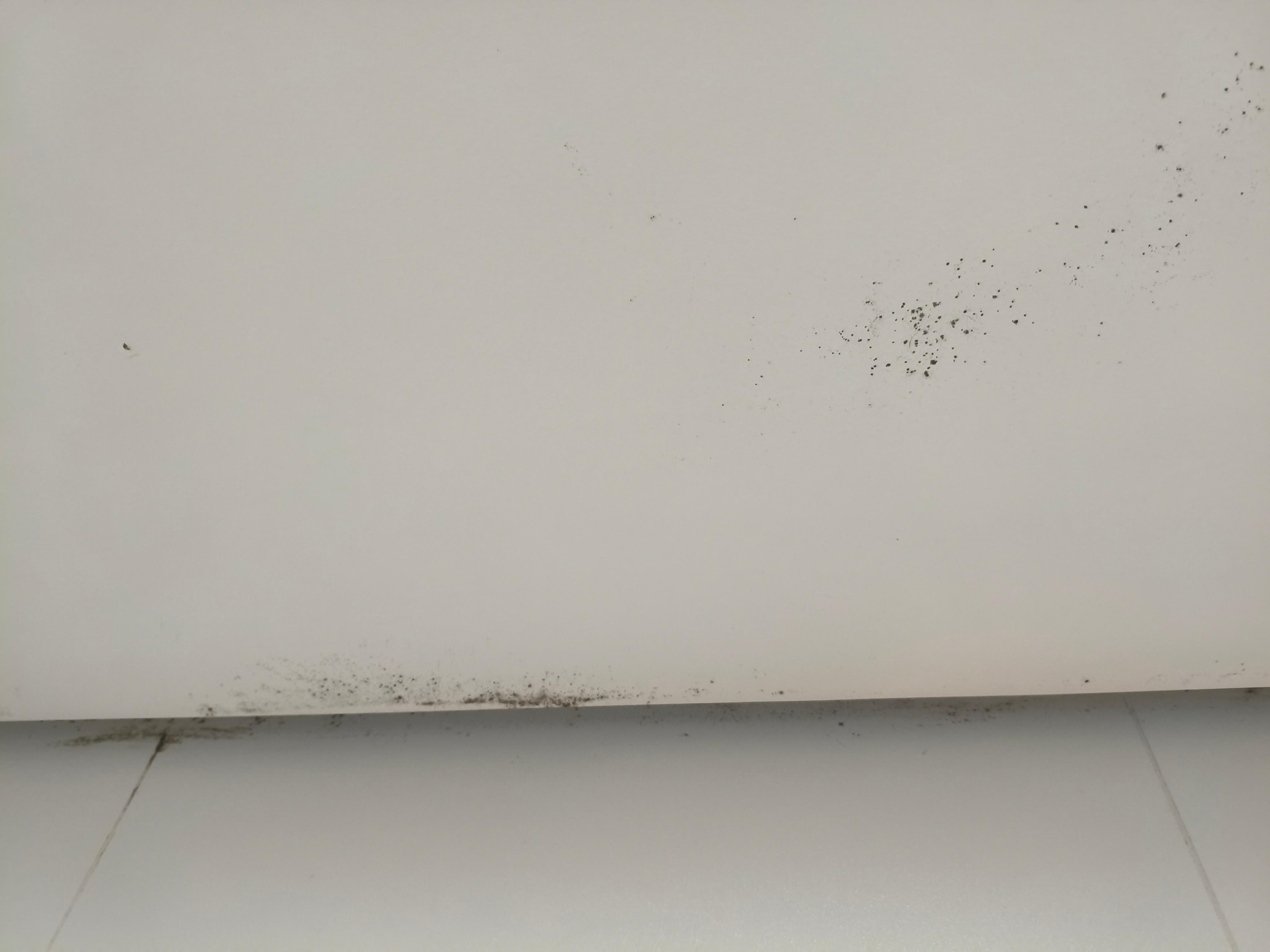 Mofo no teto do banheiro