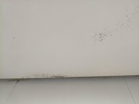 Mofo no teto do banheiro