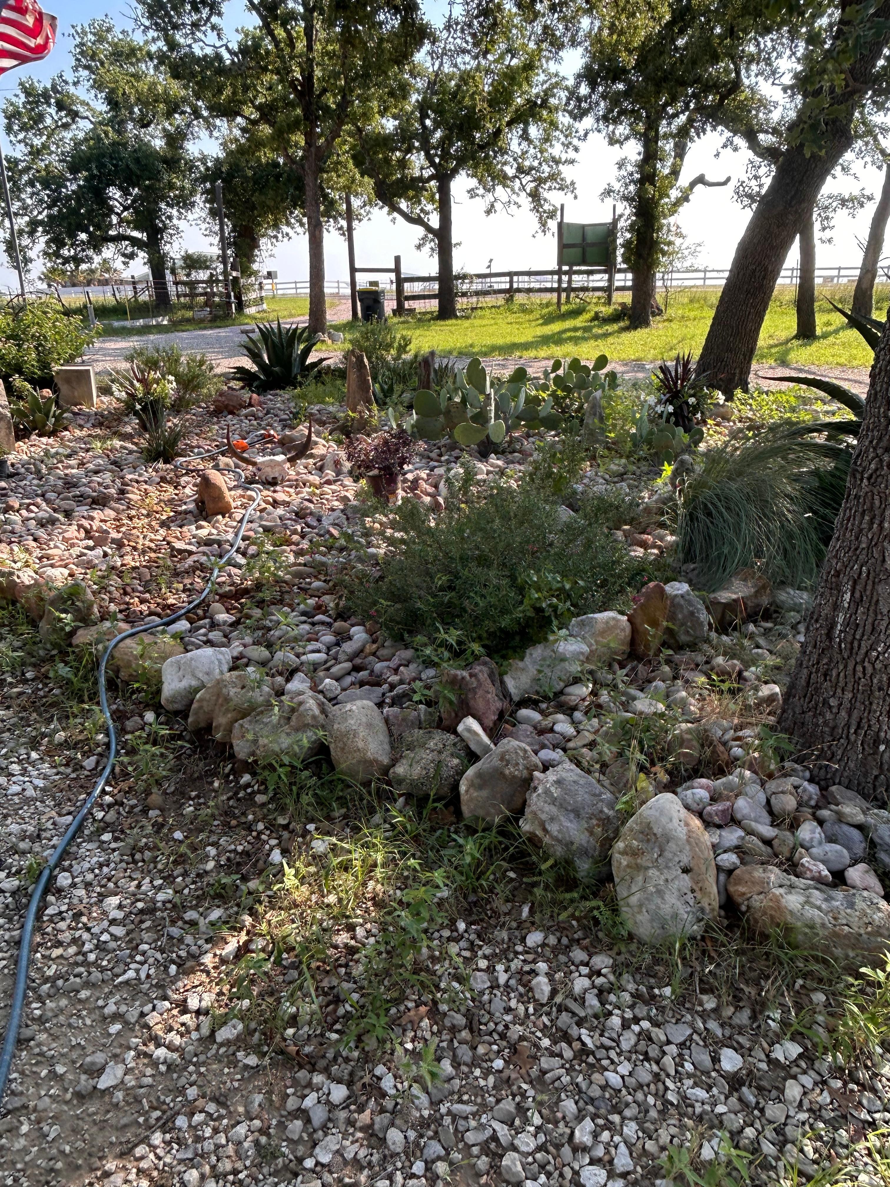 The front garden is amazing 