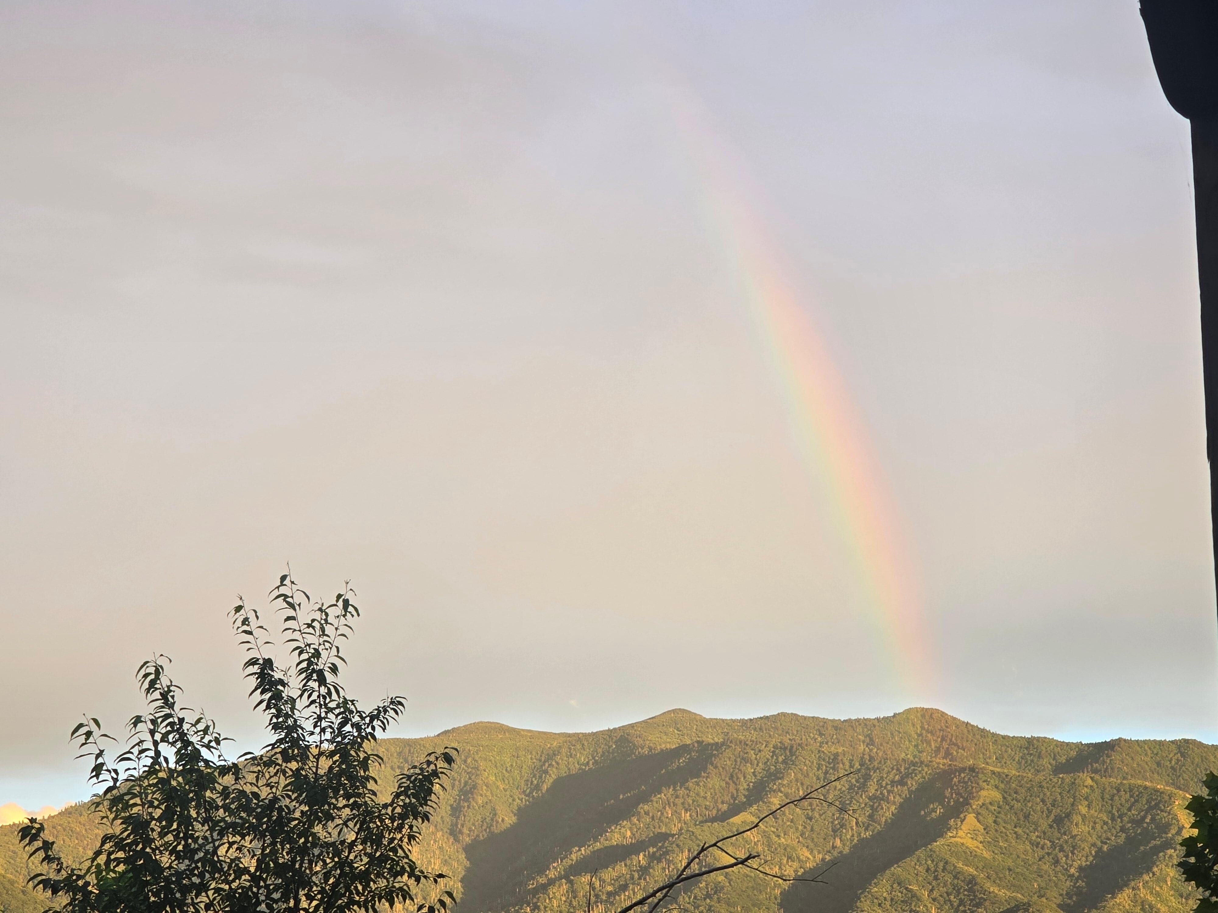 Our view from the hot tub on June 19.