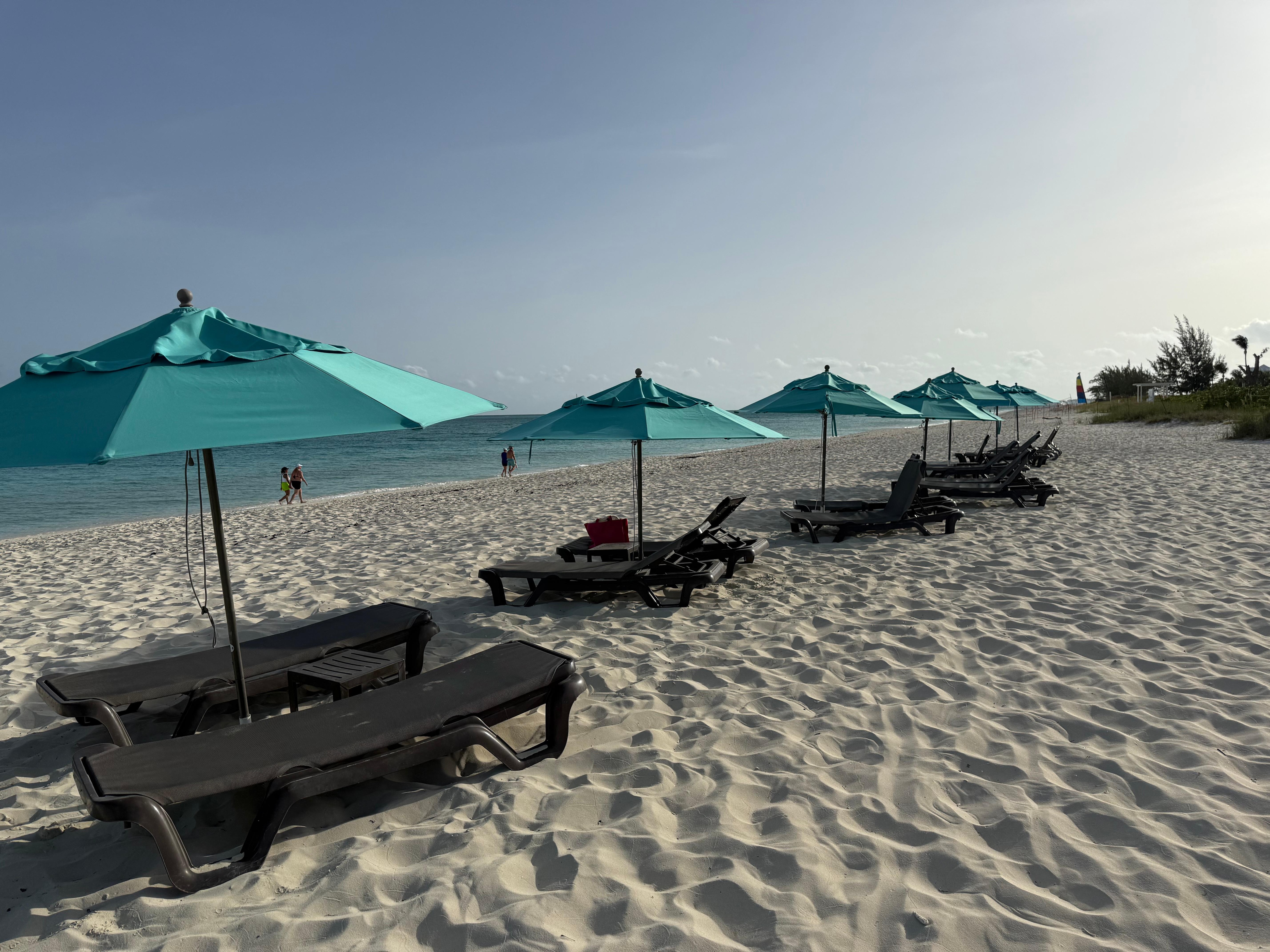 Beach loungers