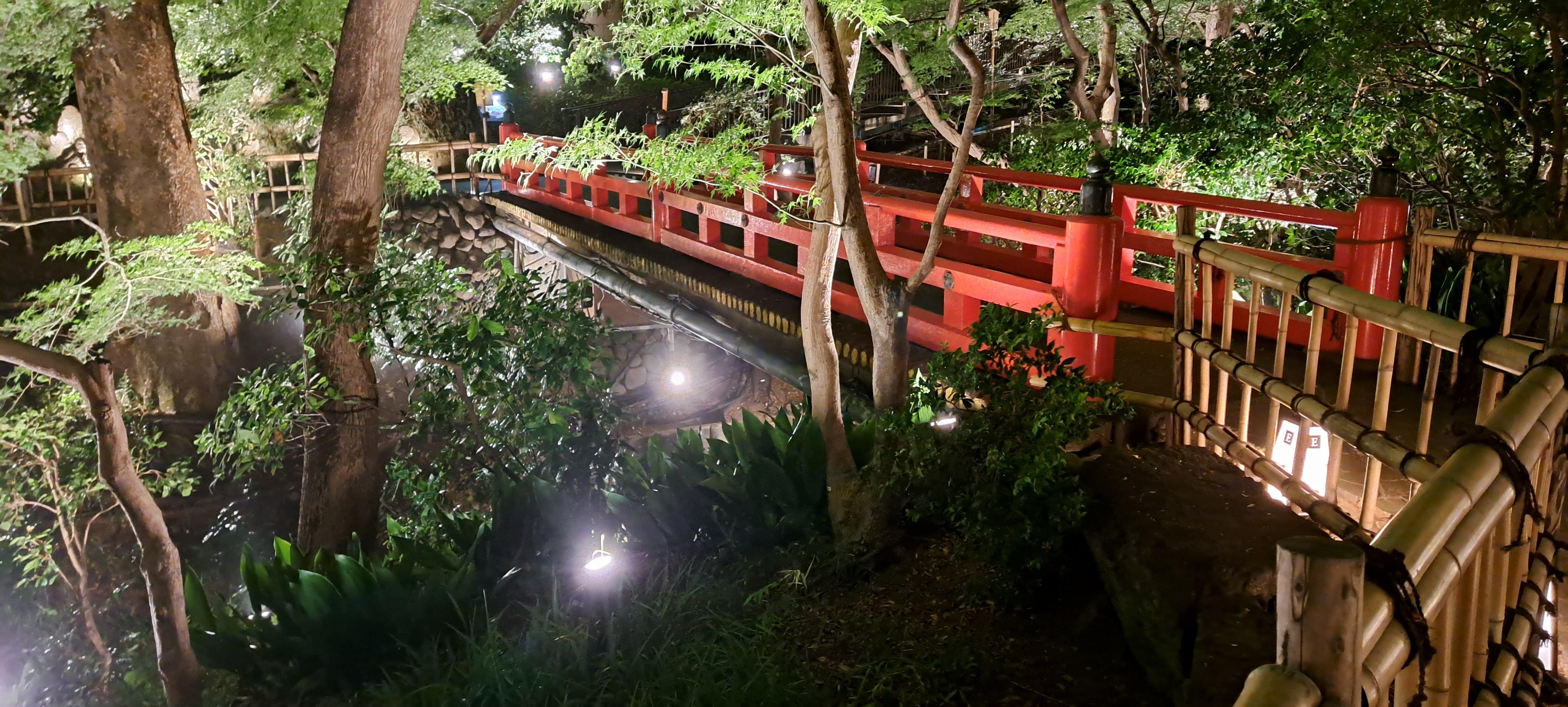 Garden paths in the evening