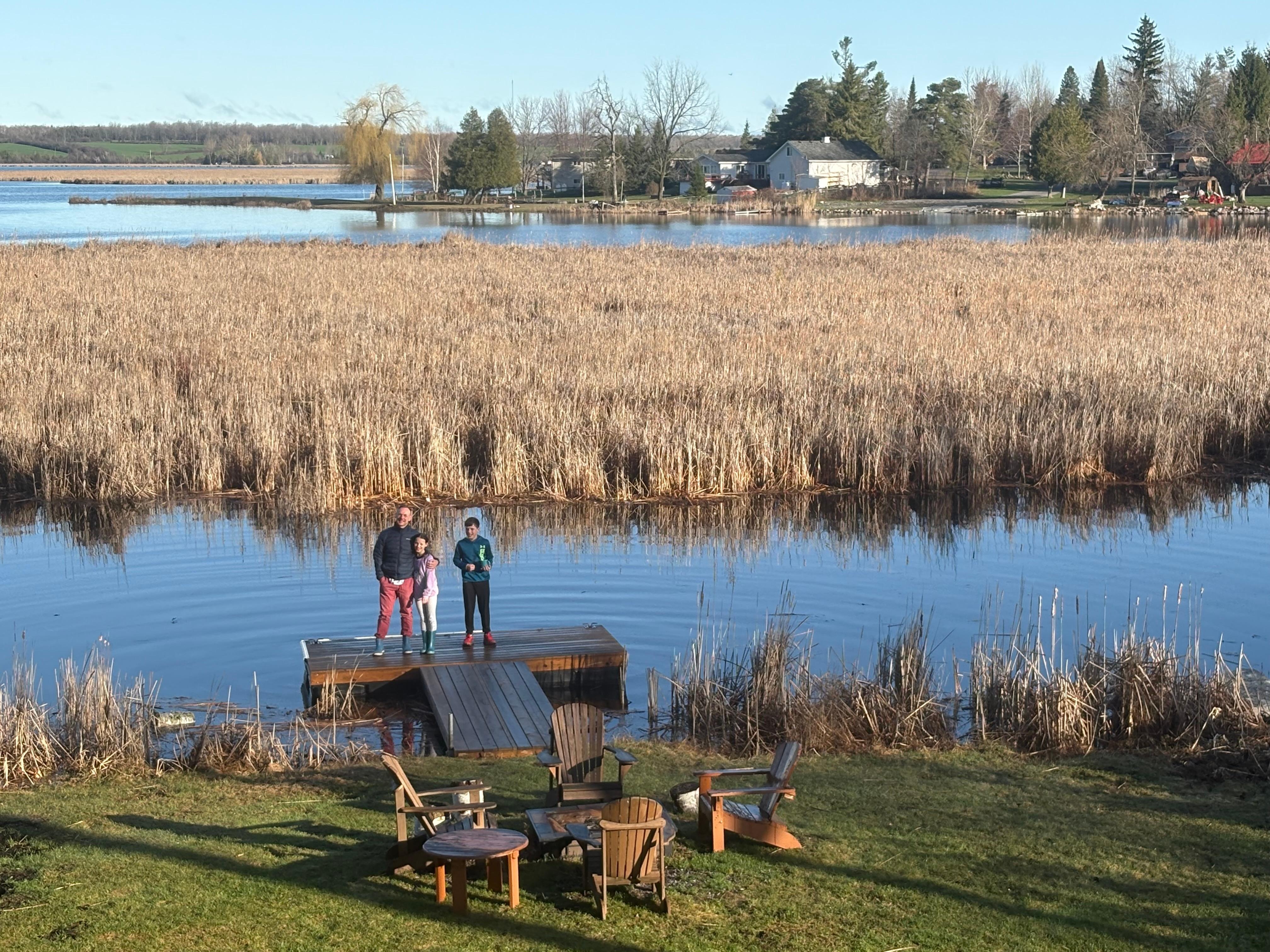 View from the cottage 