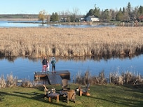 View from the cottage