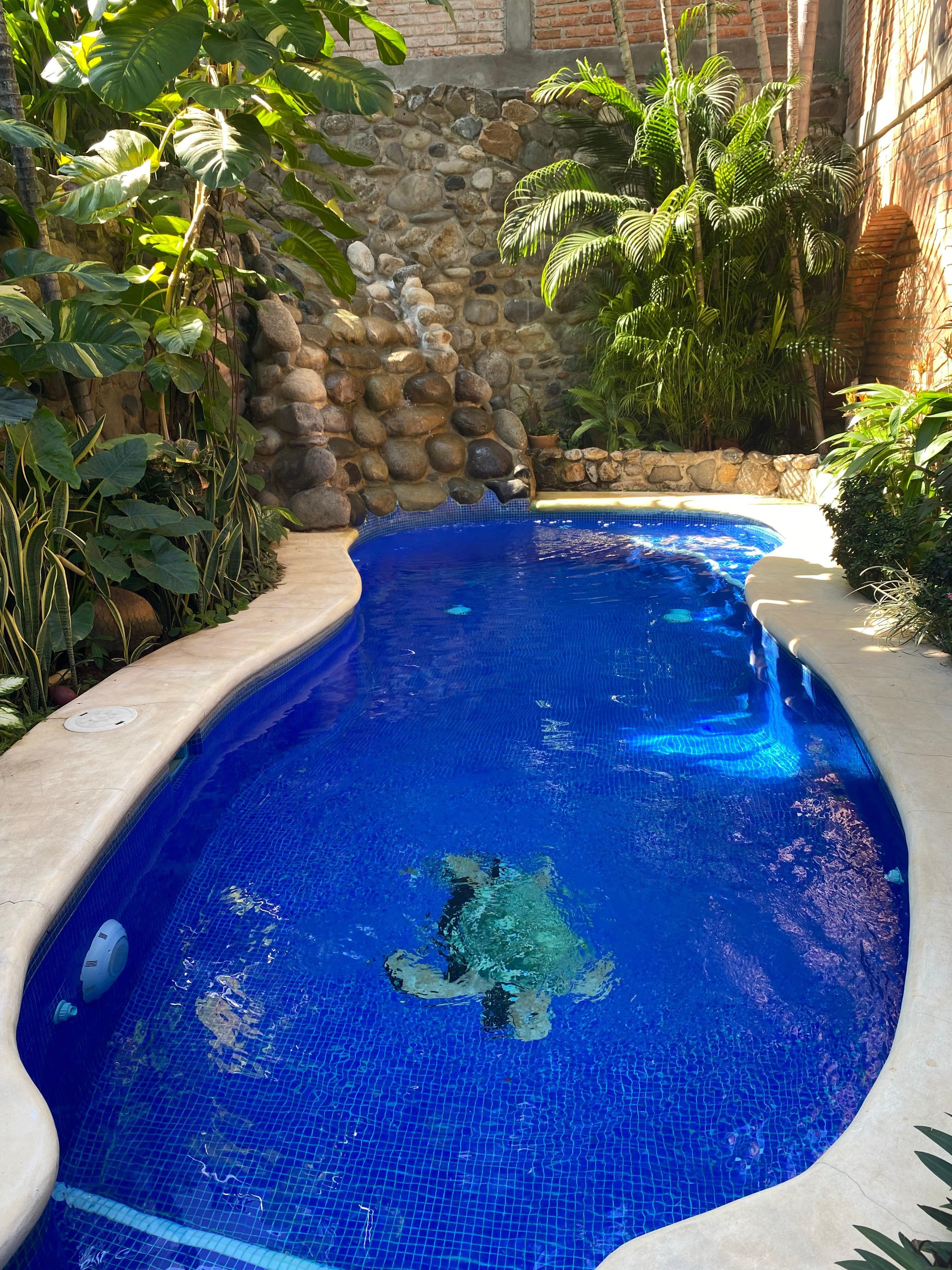 The lovely pool- with a waterfall at the back.