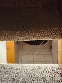 Cobwebs on stairs