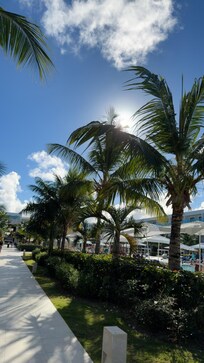 View from room (poolside view)