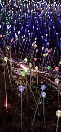 Sensorio field of light