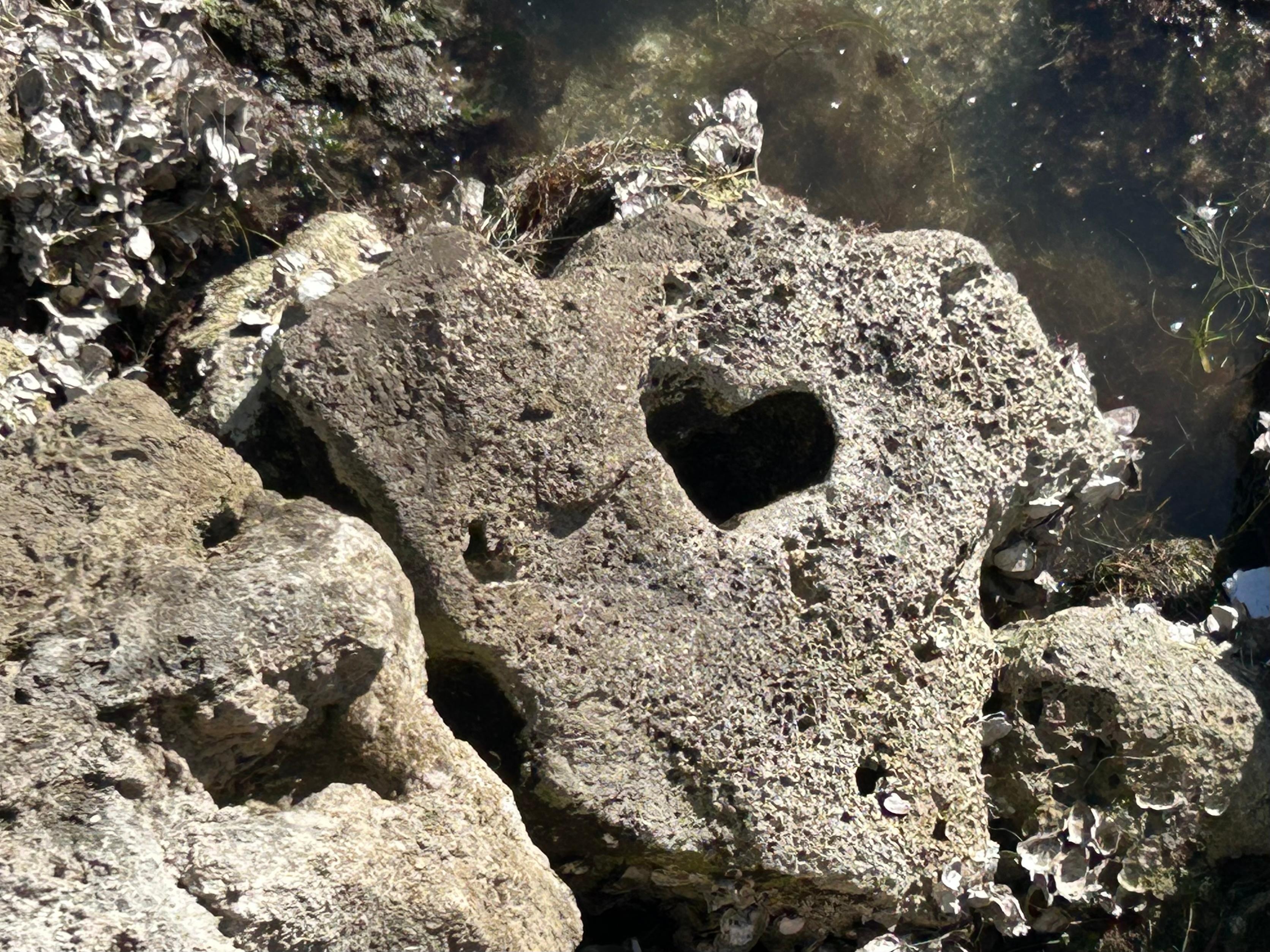 It was fun to find out that this rock in the water off the pier was a symbol of the island