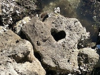 It was fun to find out that this rock in the water off the pier was a symbol of the island