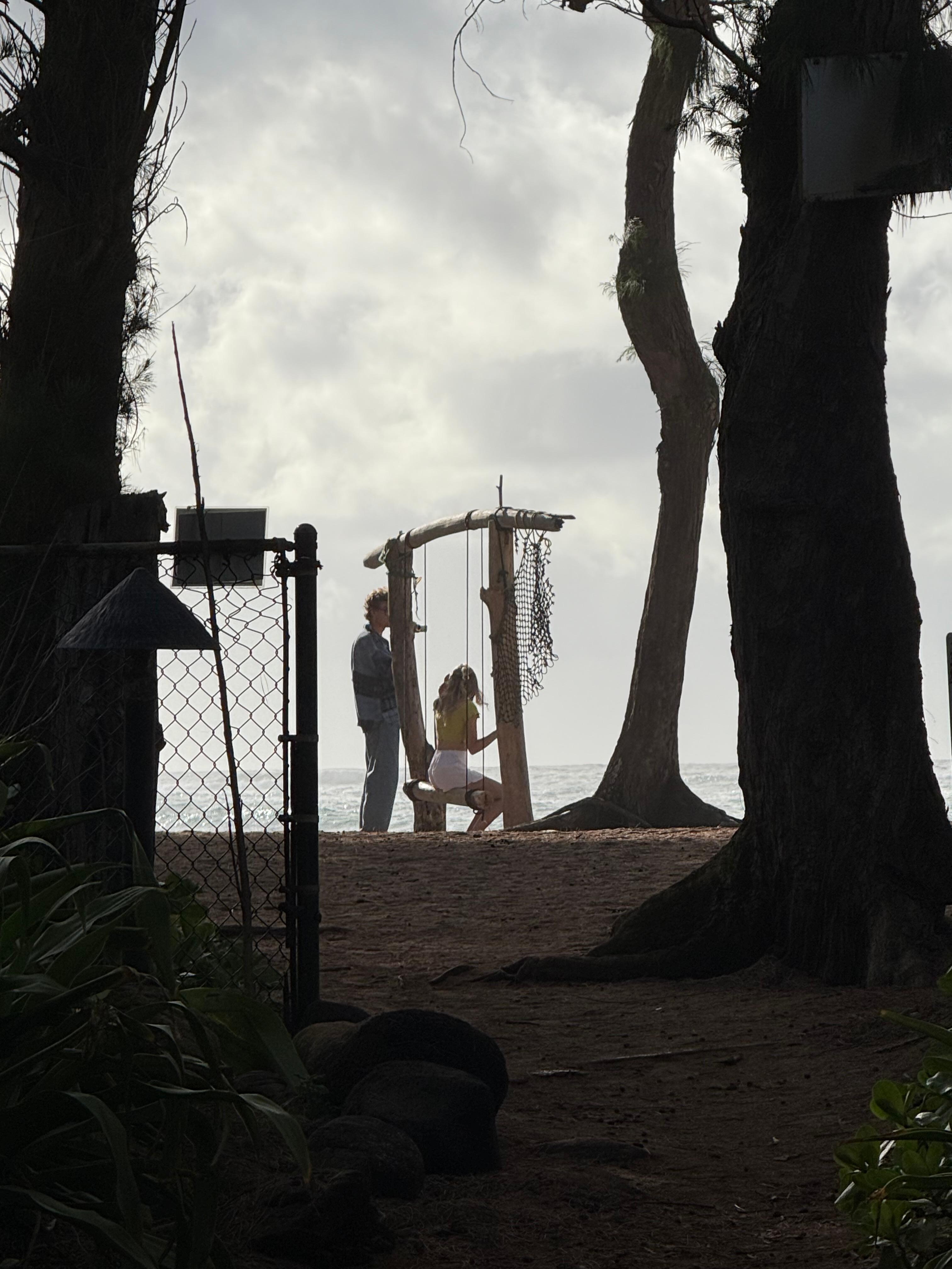Ocean front swing
