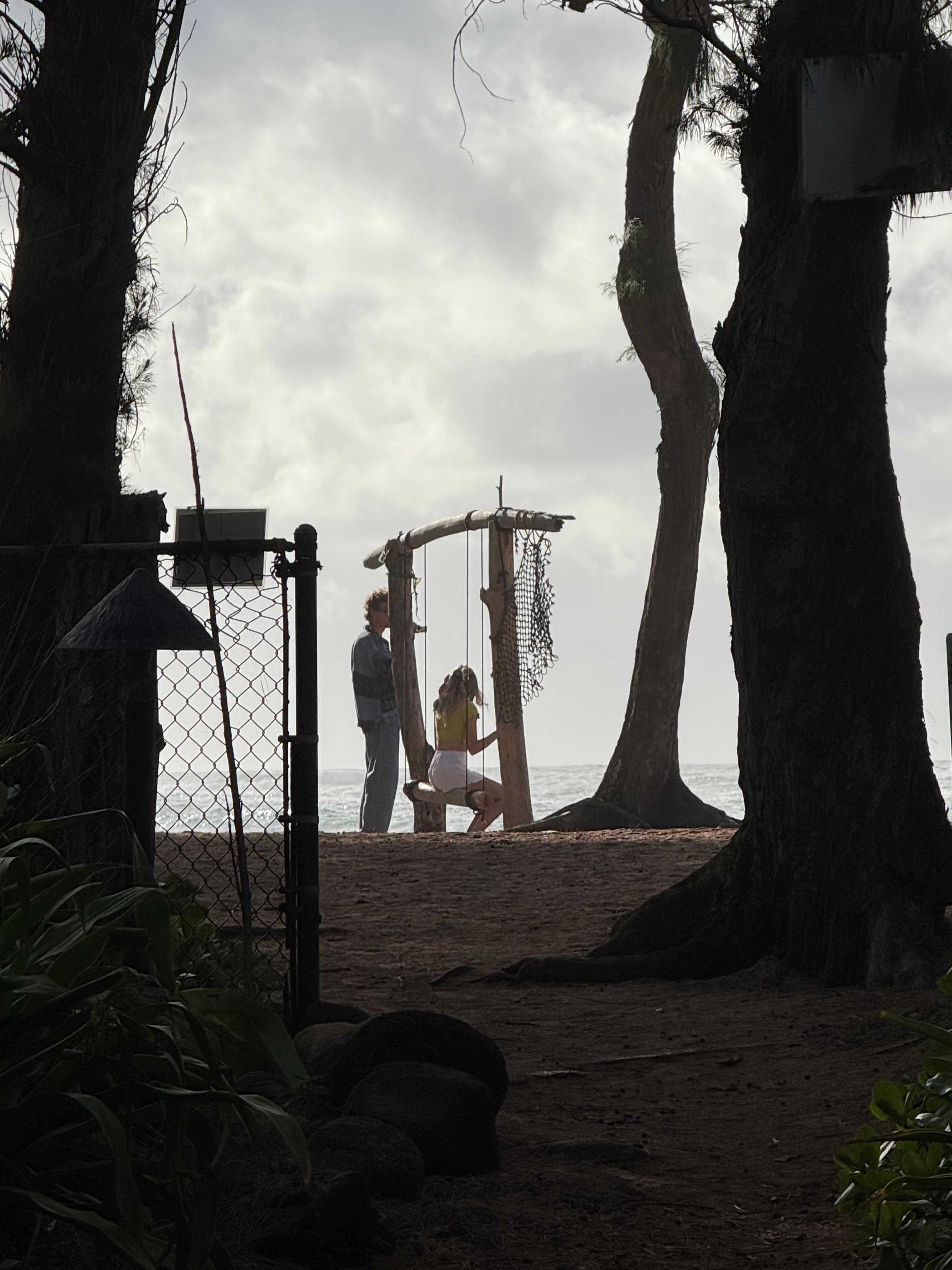 Ocean front swing