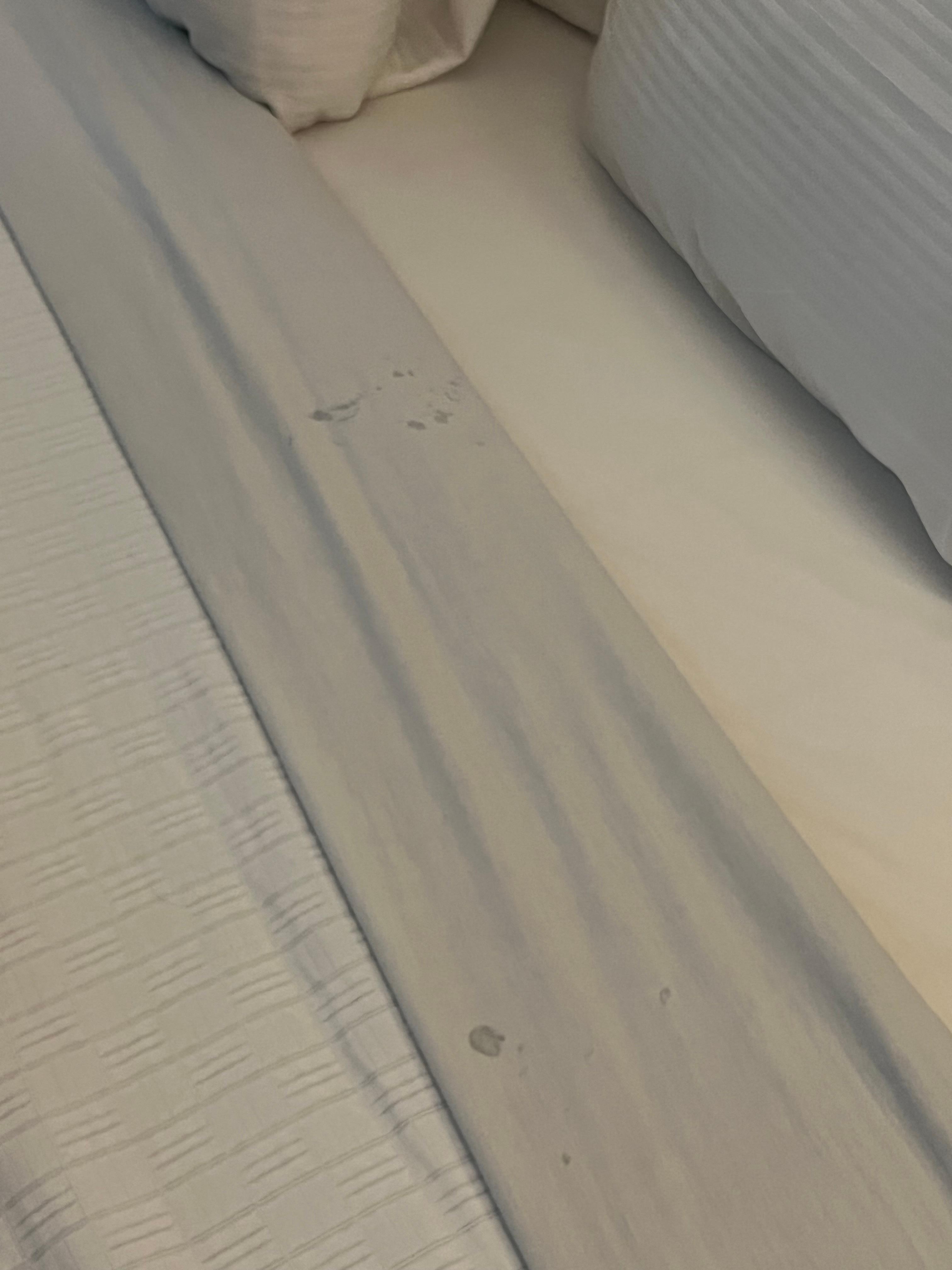 First room had stains all over the linens and I can’t even count how many different types of hair…along with black oily fingerprints and black stains in the shower. 