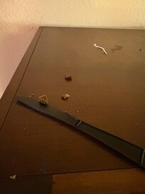 There were drugs and weed left behind imagine your toddler or pet finding this.