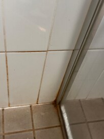 Pink bacteria and mould in shower