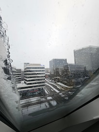 Vor der Heimreise als der Schnee weg geschmolzen war