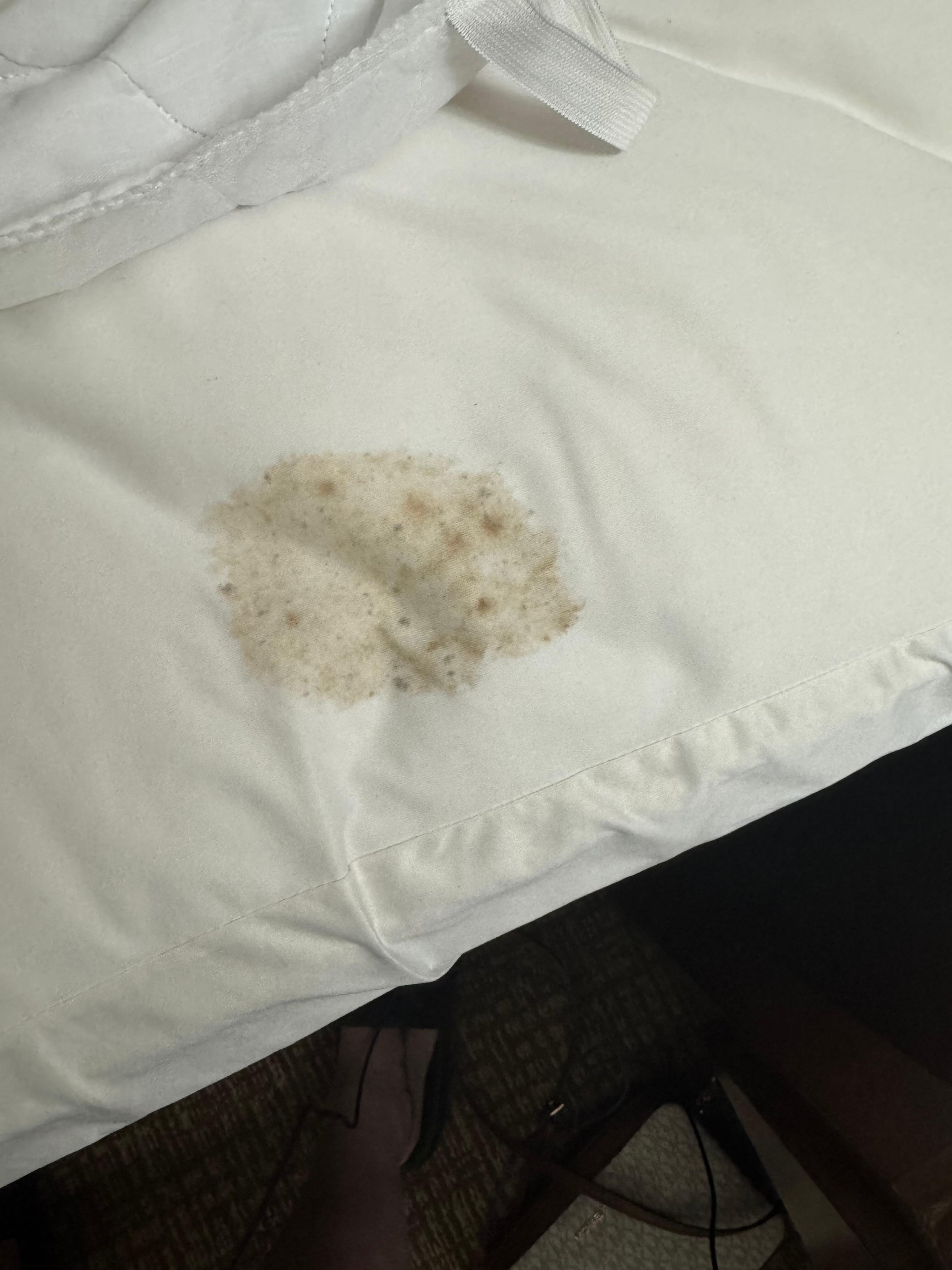 Mold/stain on the spread under the sheet