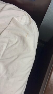 Dirty linens hair on linens