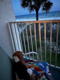 Pearl enjoyed the balcony as much as I did!