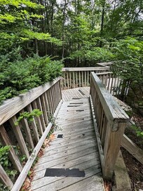The path to the front door.