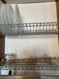 Küchen Schrank mit Geschier