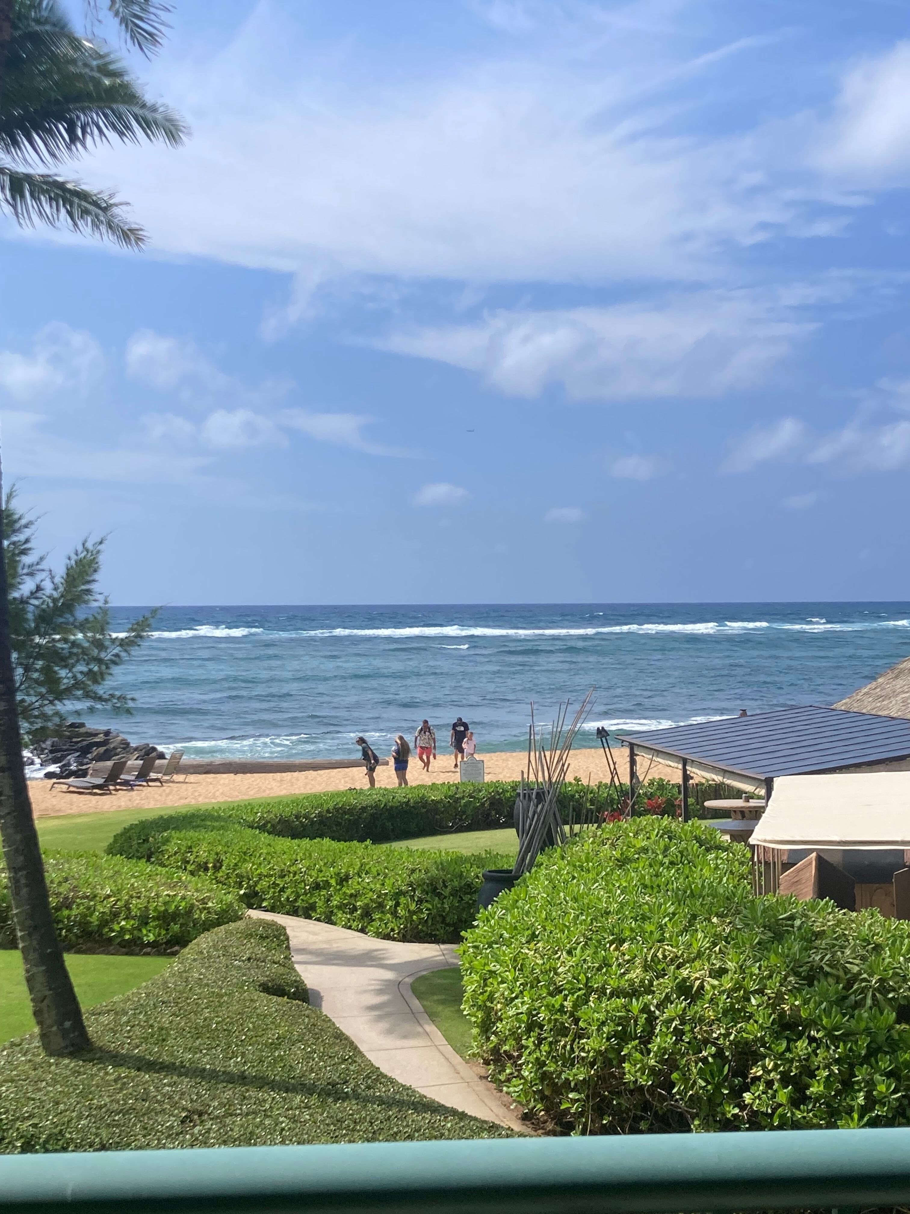 View from room