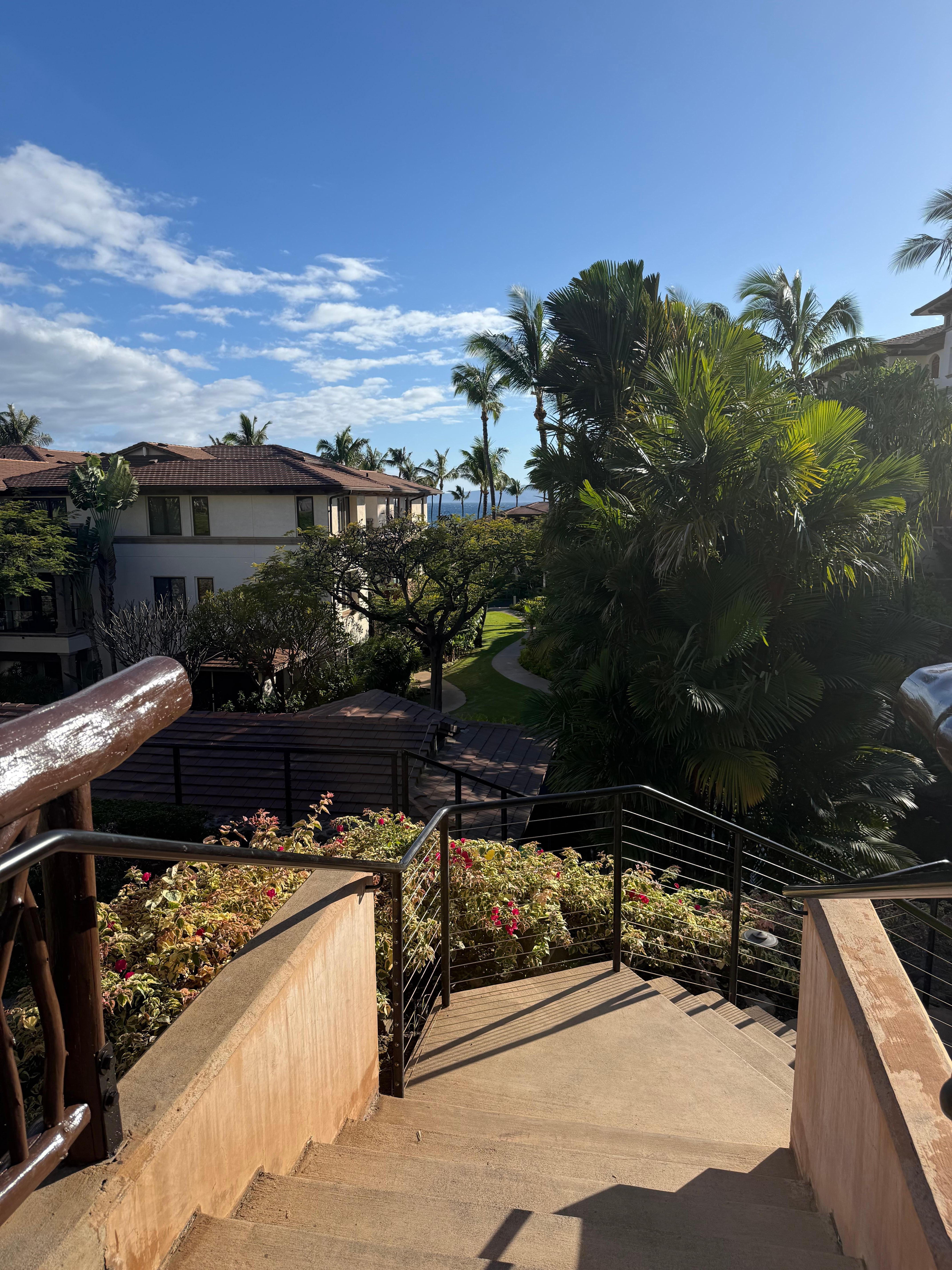 Walk way to the beach!