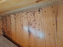 In one of the bedrooms.