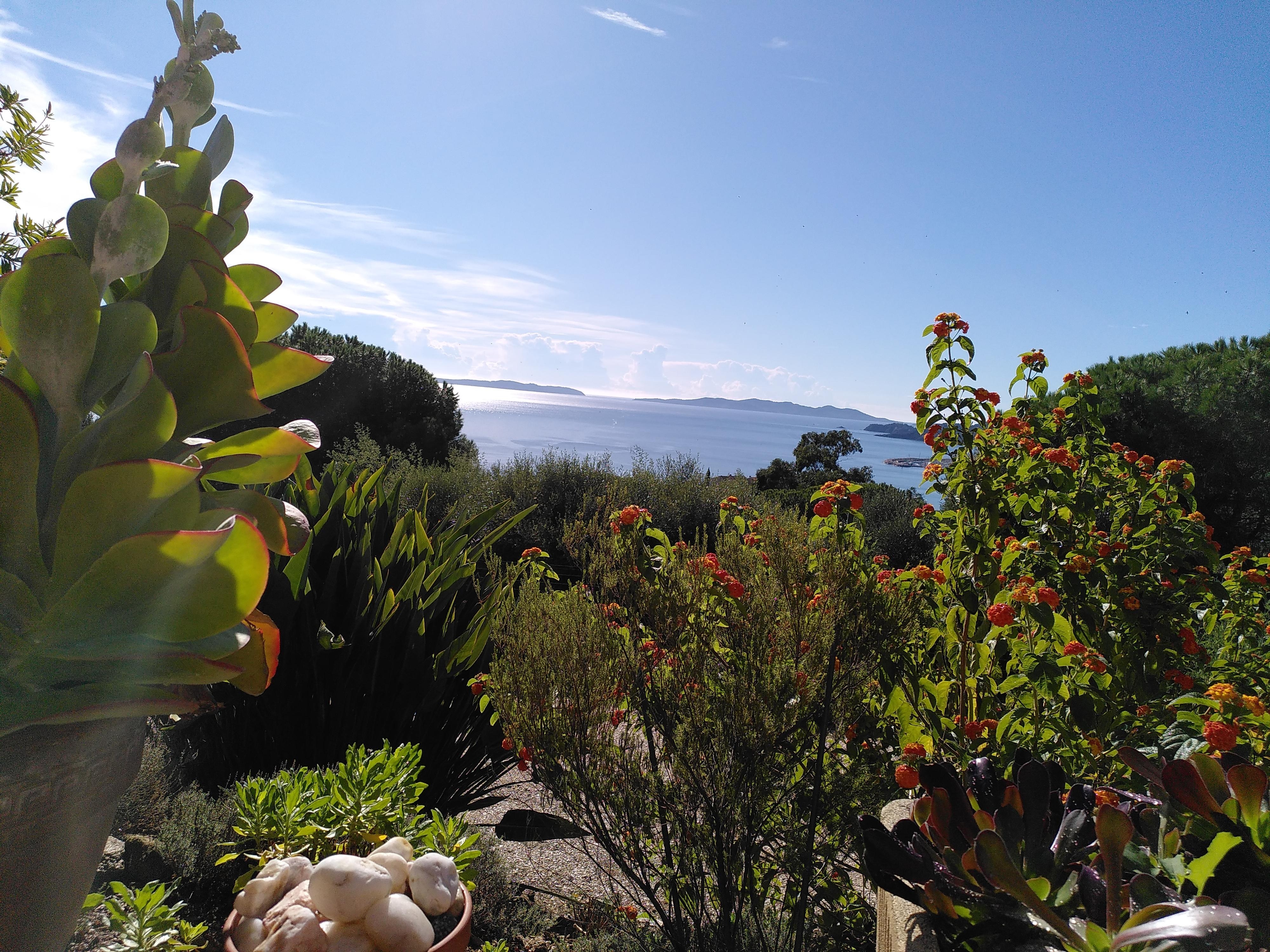 Blick von der Terrasse 